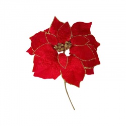 Vianočná ruža, červená, stonka, veľkosť kvetu: 35cm, 6ks