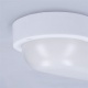 LED svietidlo, 13W, IP54, 910lm, 4000K, 21cm, oválne, biele